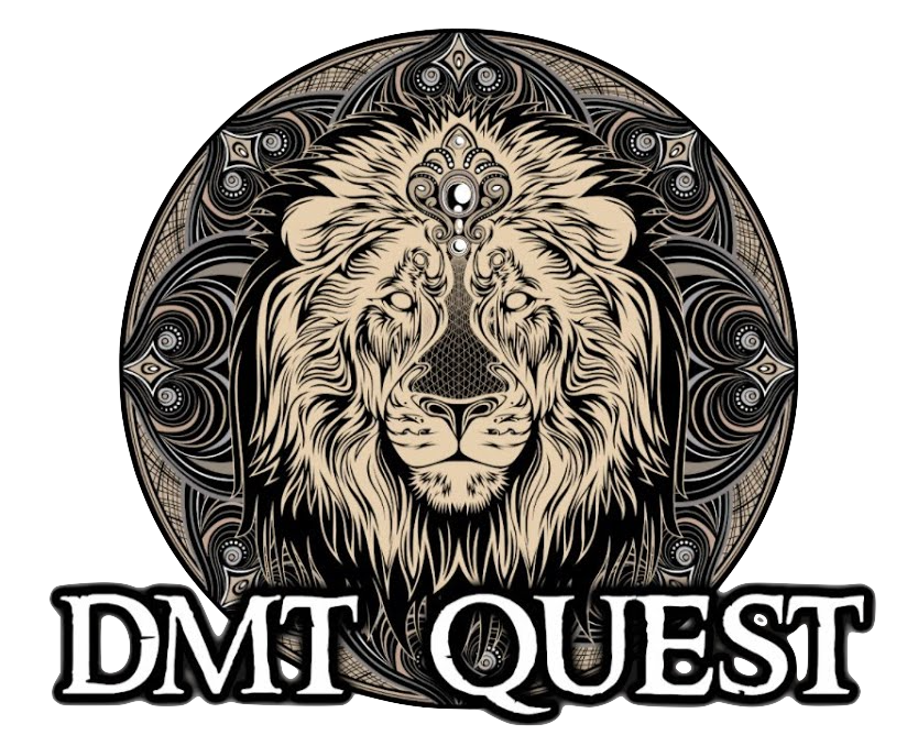 DMT Quest logo